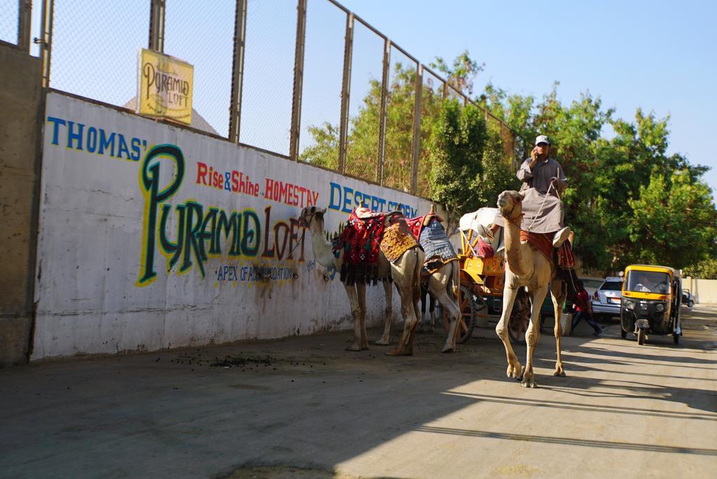 Pyramids Loft Homestay Kafret el-Gabal Exterior foto